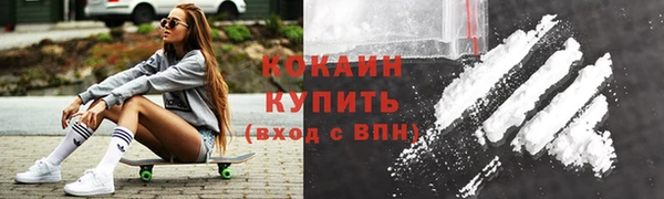 индика Заводоуковск