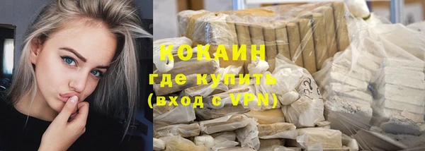 индика Заводоуковск