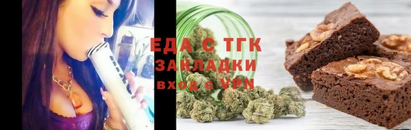 индика Заводоуковск