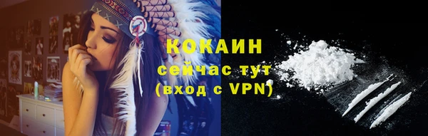 индика Заводоуковск