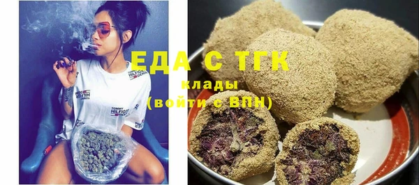 индика Заводоуковск