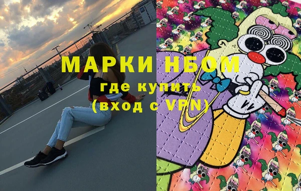 индика Заводоуковск