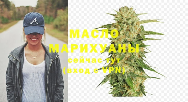 индика Заводоуковск