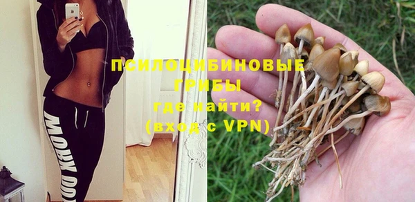 индика Заводоуковск