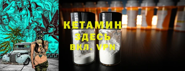 индика Заводоуковск