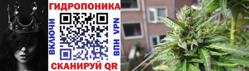Шишки марихуана план наркота Ишимбай
